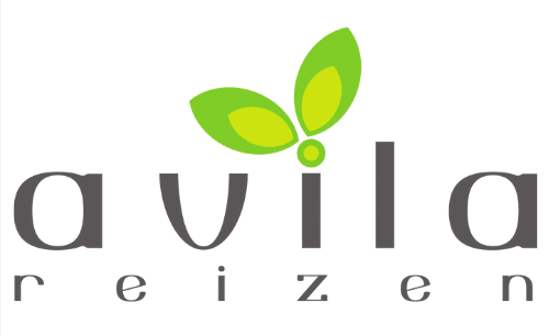 Avila Reizen